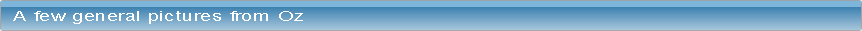 wp545fdc1d.png