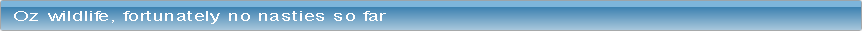 wp9b4f0564.png