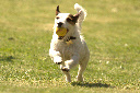 She just loves playing ball